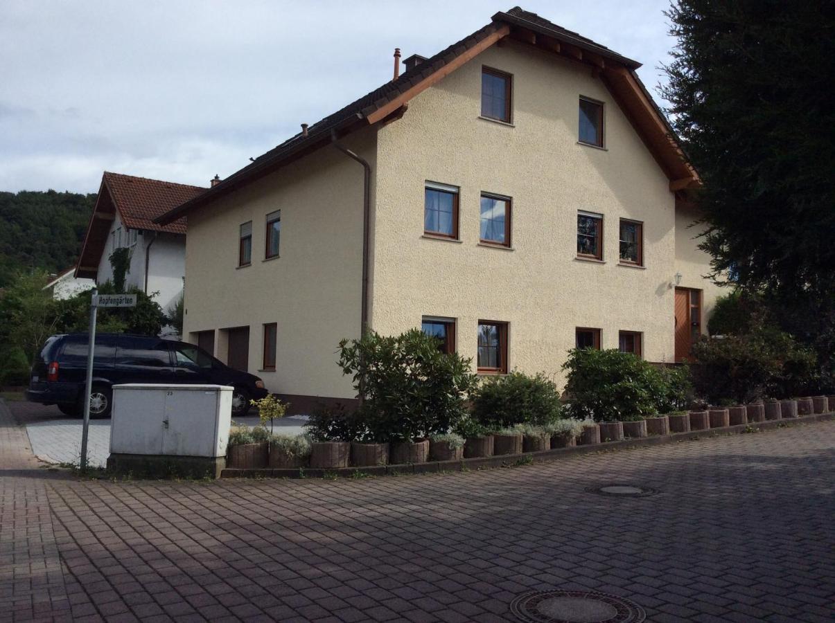 Mountain View Rooms Kindsbach エクステリア 写真